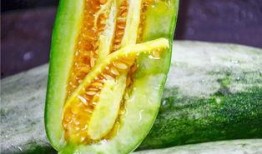 家暴吃瓜网红叫什么,网红“吃瓜群众”身份引关注